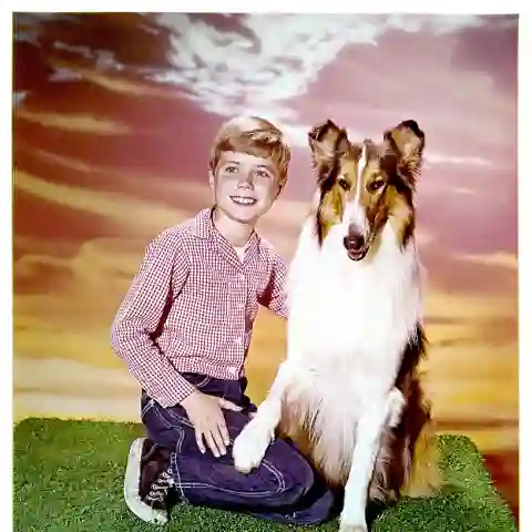 Jon Provost und Lassie in der Serie von 1954