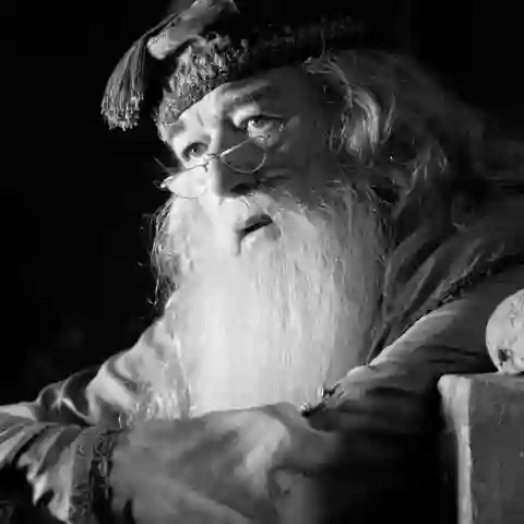 dumbledore michael gambon harry potter