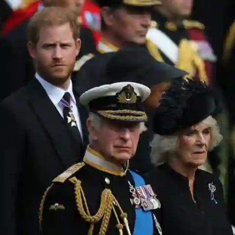 Prinz Harry und König Charles