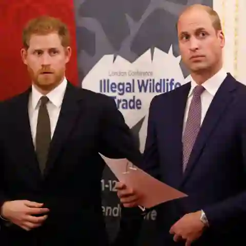 Prinz William und Prinz Harry