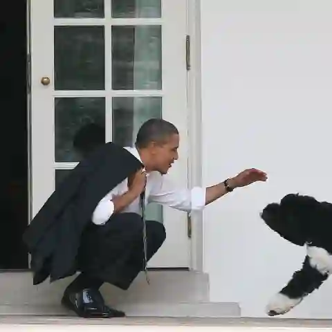 Barack Obama mit Hund Bo im Weißen Haus am 15. März 2012
