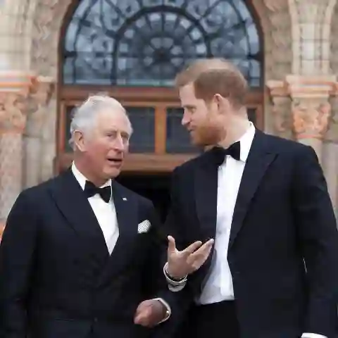 prinz harry prinz charles