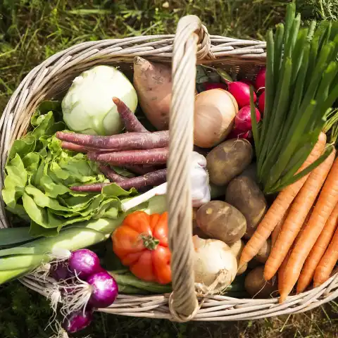 gemüse gesund giftig