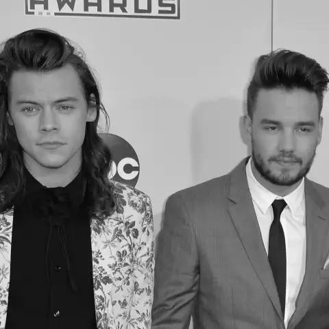 Harry Styles spricht über Liams Tod.