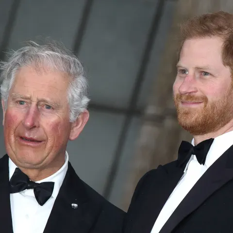 Prinz Harry und König Charles