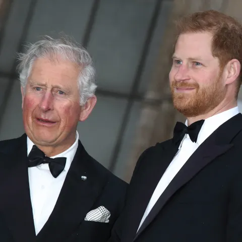Prinz Harry und König Charles