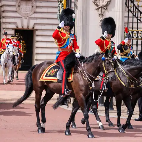 Prinz William bei Trooping the Colour.