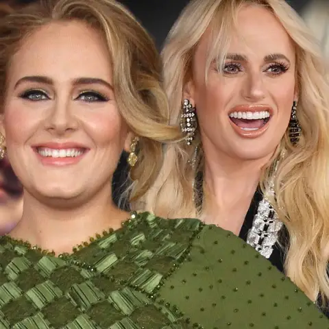 Stars, die richtig viel abgespeckt haben