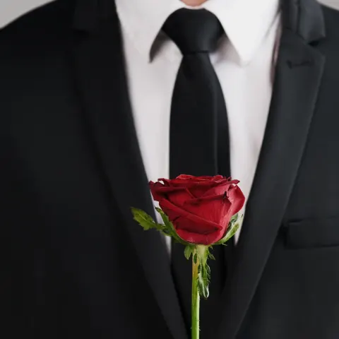 RTL gibt die neuen „Bachelors“ bekannt.