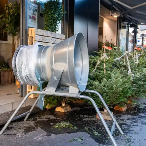 weihnachtsbaum christbaum tanne weihnachten verkauf kauf