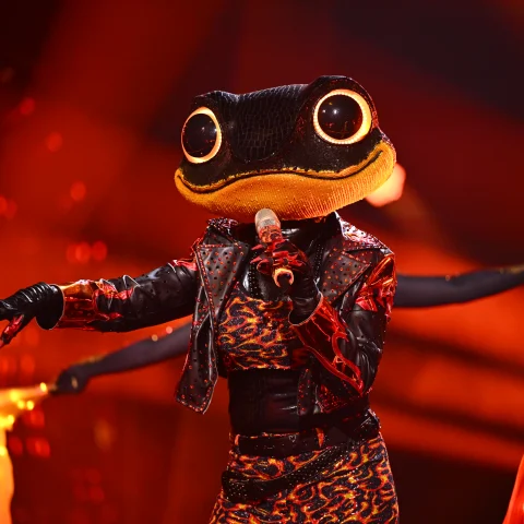 "The Masked Singer"
