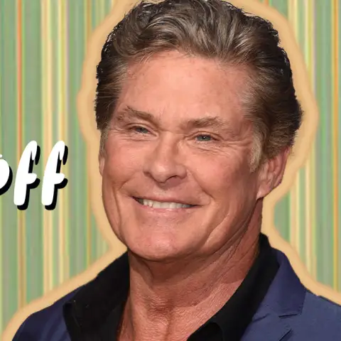 david hasselhoff quiz