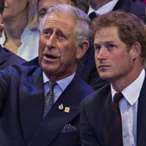 könig charles prinz harry treffen