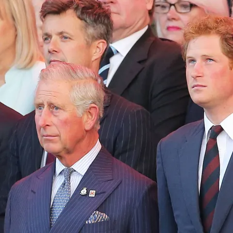 könig charles prinz harry treffen wiedersehen