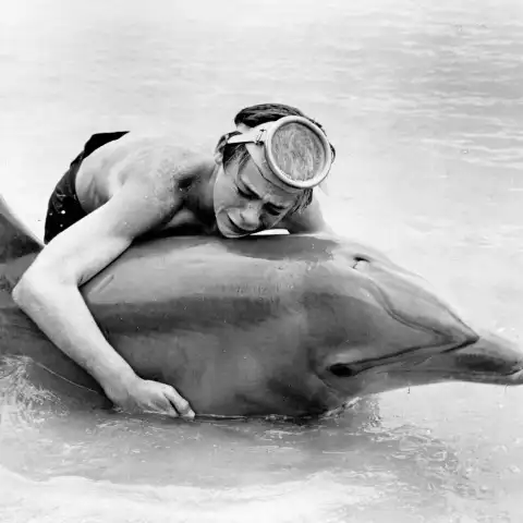 Luke Halpin in „Flipper“