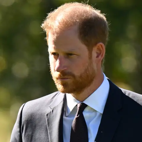 prinz harry familie königshaus forderungen