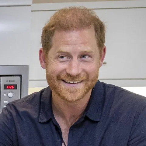 prinz harry großbritannien besuch