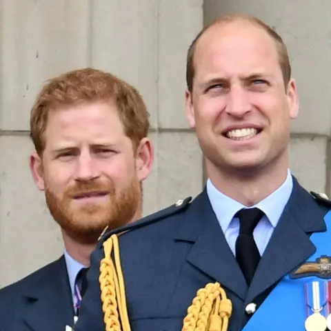 prinz harry prinz william streit familie