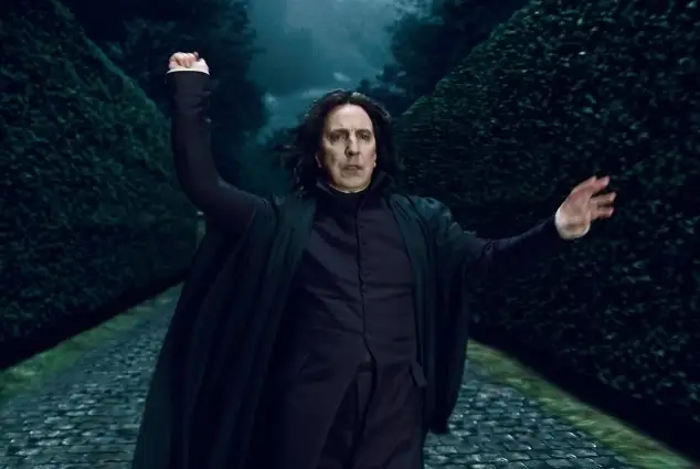 „Harry Potter und die Heiligtümer des Todes 1“