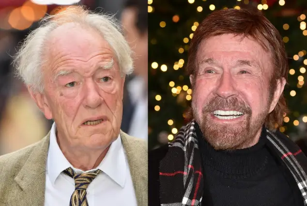 Michael Gambon und Chuck Norris