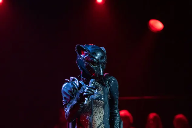 Panther Masked Singer Stefanie Hertel