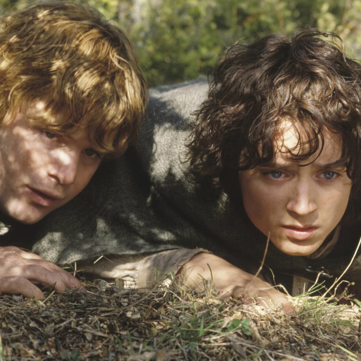 Elijah Wood So Gross Ist Der Herr Der Ringe Star