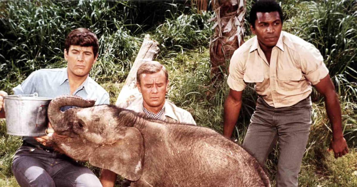 „Daktari“ Das wurde aus den Darstellern