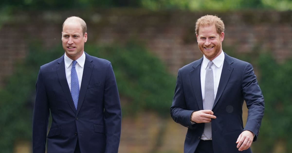 Diana Statue Enthüllung - Prinz Harry und Prinz William: Gemeinsamer Auftritt bei ...