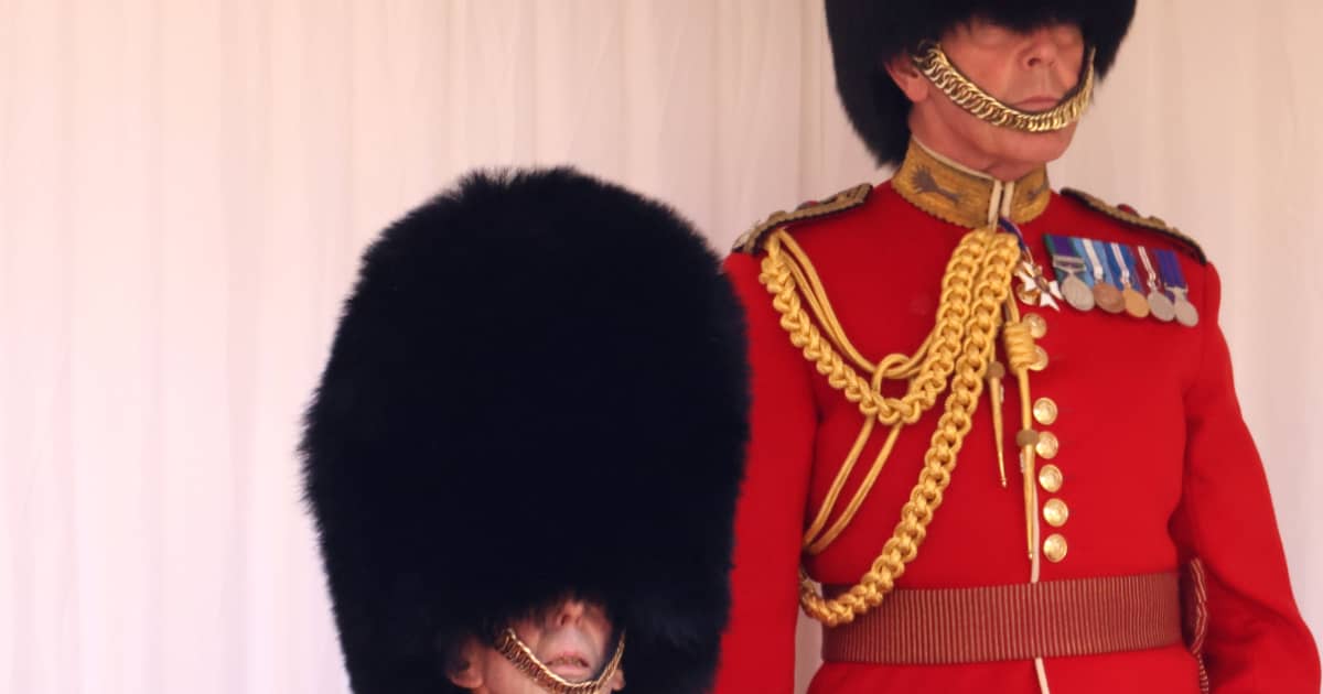 Die britischen Royals mal ganz anders