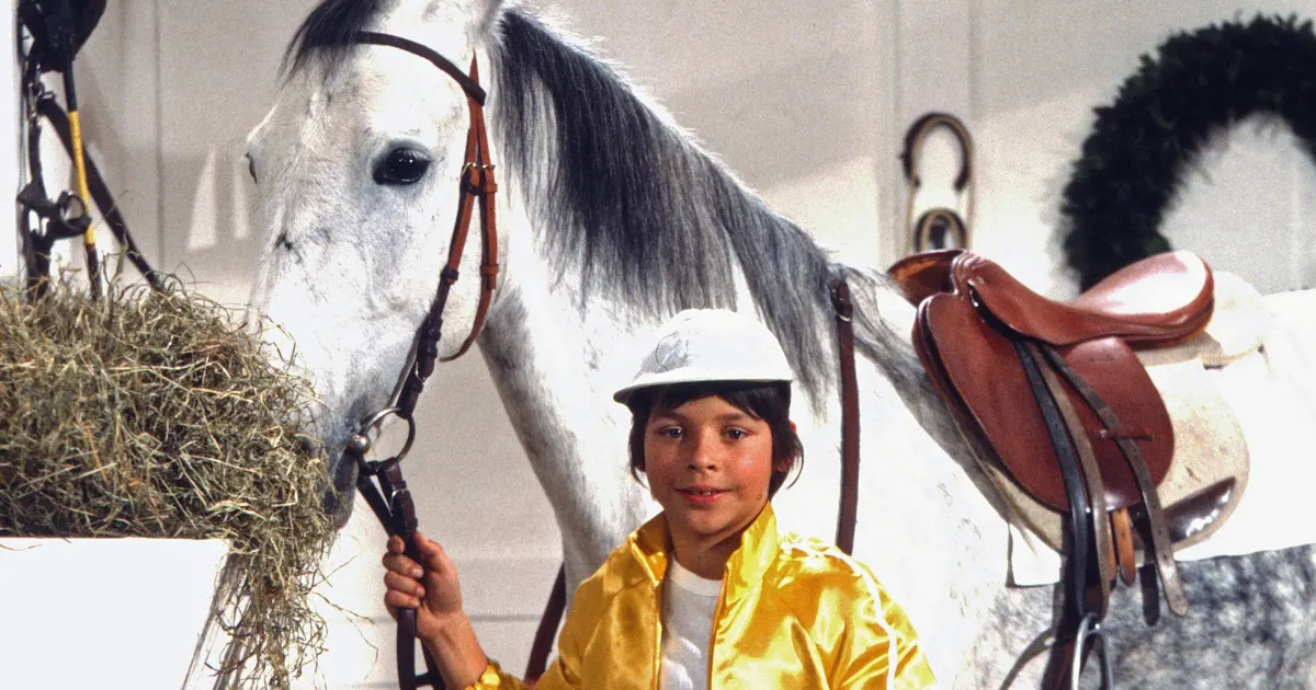 „Silas“ Das Quiz zur Serie