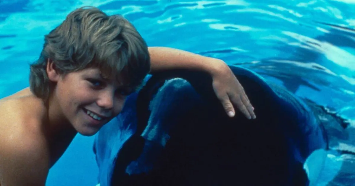 free willy nikes