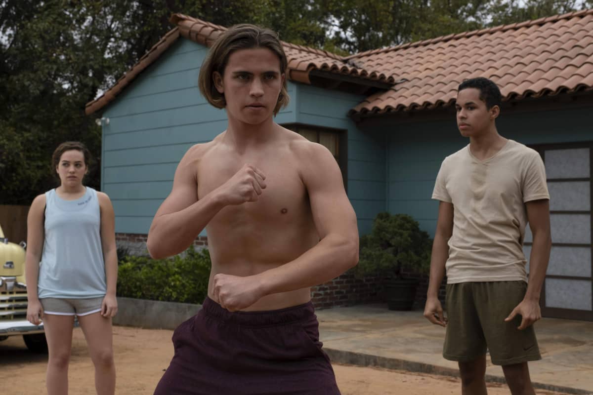 „Cobra Kai / Karate Kid" Quiz