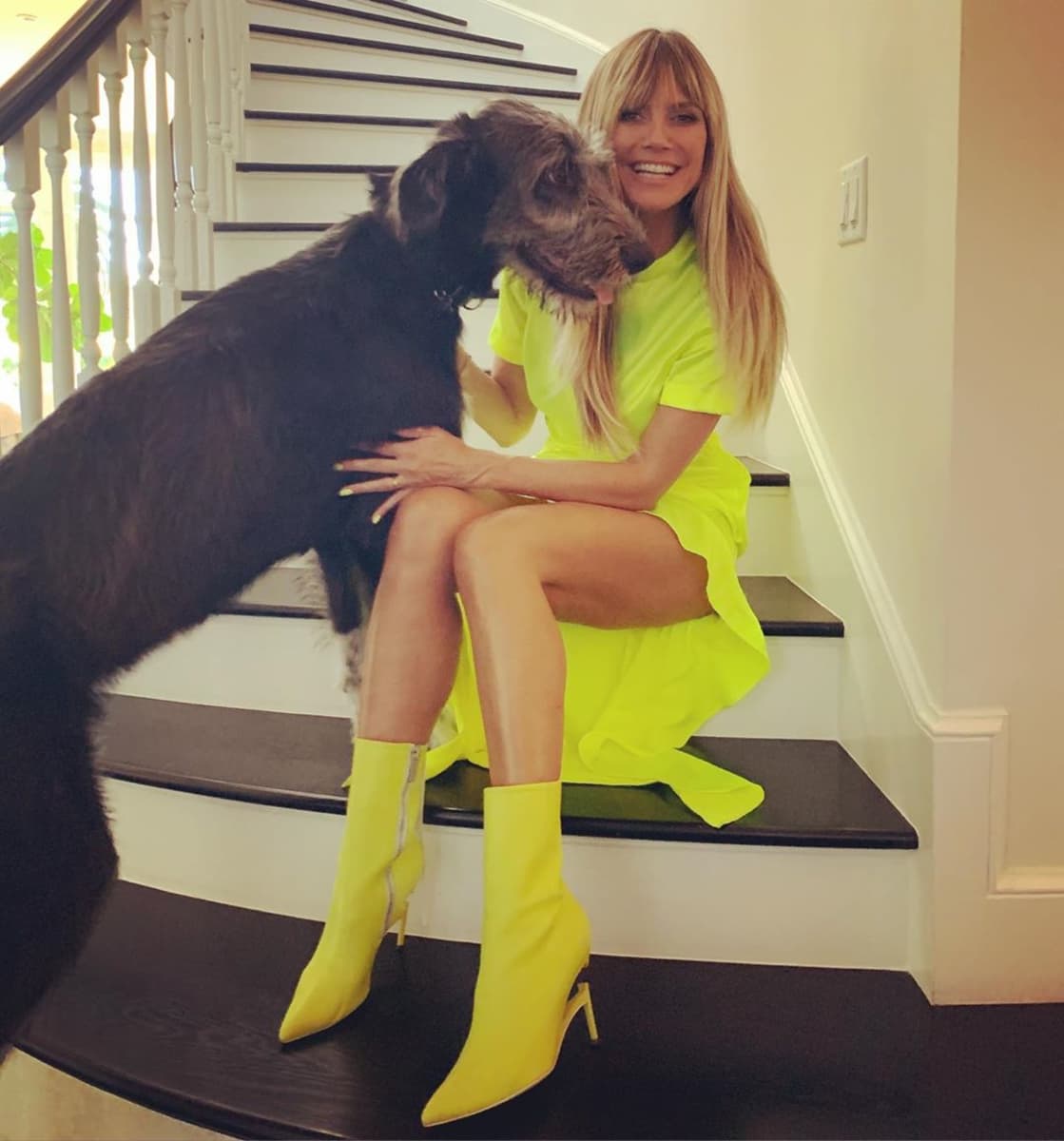 heidi klum und tom kaulitz haben tierischen familienzuwachs bekommen