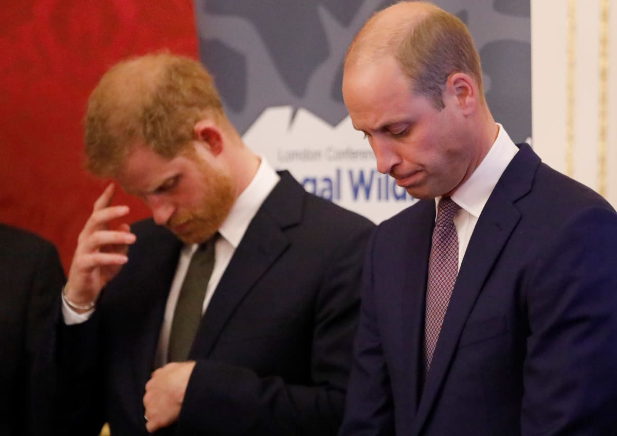 Prinz Harry und Prinz William werden bei Prozession ...