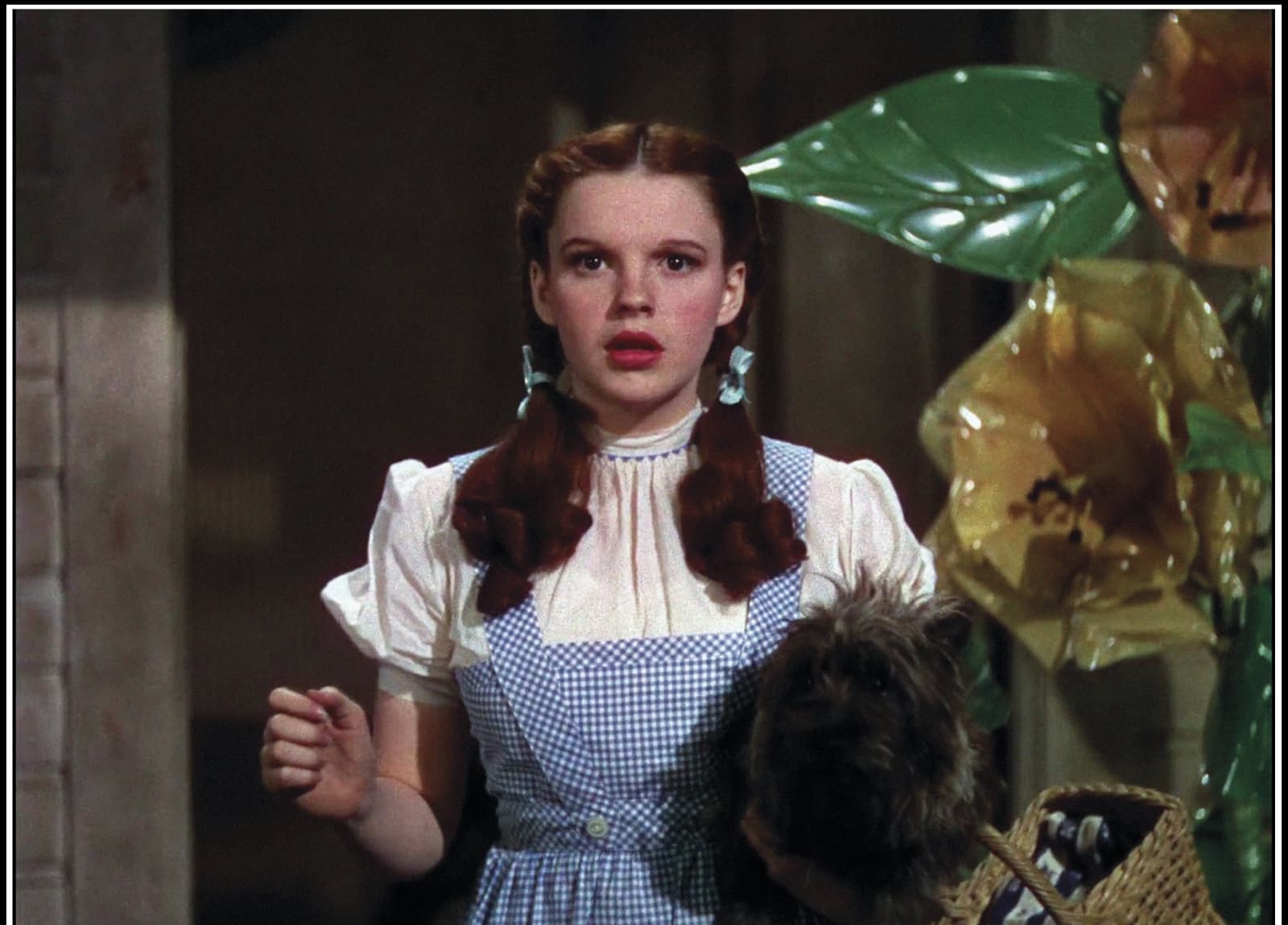 Die Tragische Lebensgeschiche Von Judy Garland