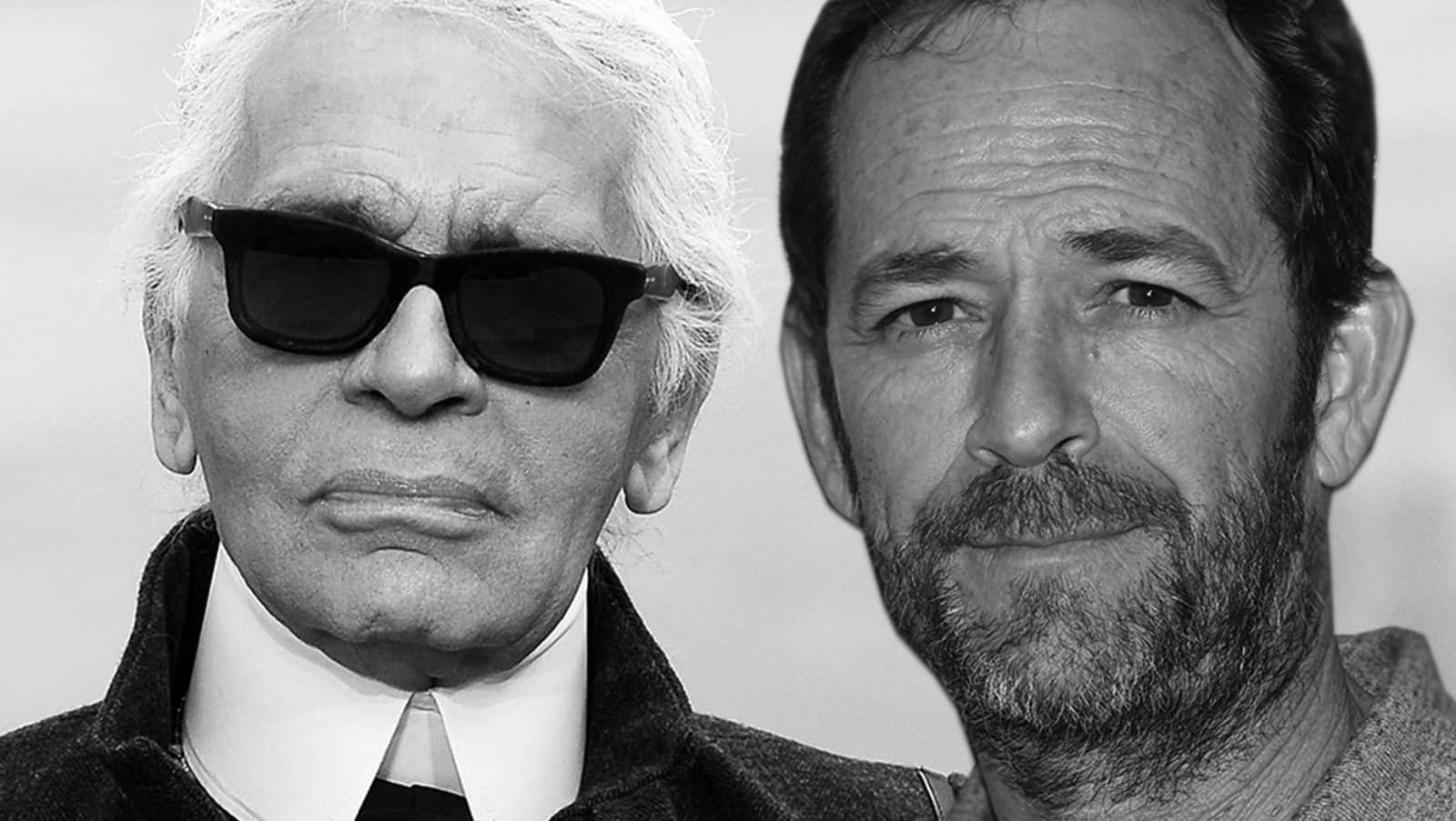 Welche Promis Sind 2019 Gestorben