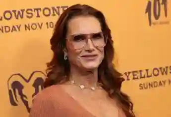 brooke shields heute schauspielerin