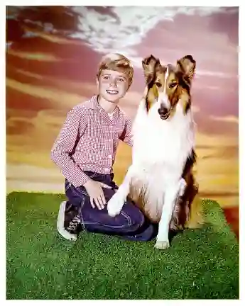 Jon Provost und „Lassie“ in der Serie von 1954