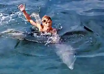 Luke Halpin in „Flipper"