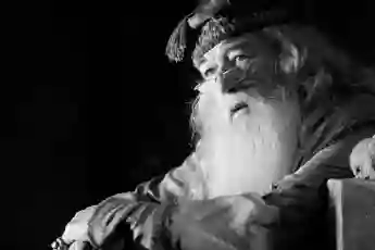 dumbledore michael gambon harry potter