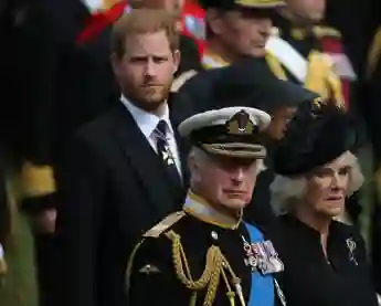 Prinz Harry und König Charles