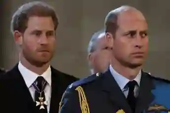prinz harry prinz william anspannung verhältnis streit krönung