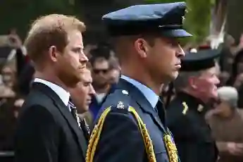 prinz harry prinz william versöhnung streit zukunft
