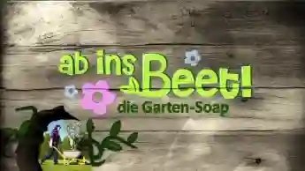 Ab ins Beet