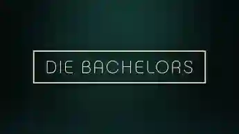 "Die Bachelors"-Logo
