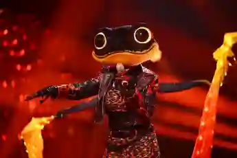 "The Masked Singer"