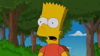 „Bart Simpson“