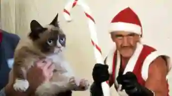 Schlechte Weihnachtsfilme, Hulk Hogan, Grumpy Cat