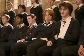 „Harry Potter“-Stars: Alfred Enoch, Devon Murray, Rupert Grint und Danielle Radcliffe