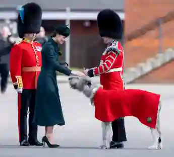 Herzogin Kate streichelt einen Hund am St. Patricks Day